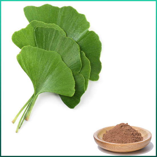 Ginkgo Biloba Özü