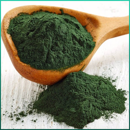 Spirulina Özü